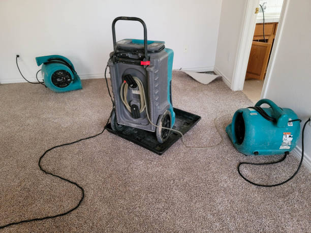 Best Local water damage restoration  in Redfield, SD