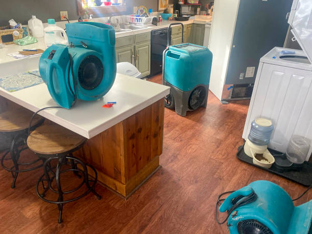 Best Mold removal after water damage  in Redfield, SD