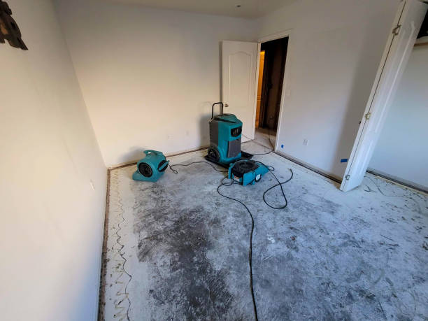 Best Commercial water damage restoration  in Redfield, SD