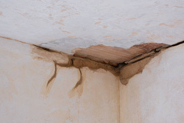Best Water damage restoration specialists  in Redfield, SD