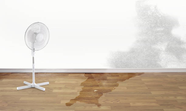 Best Water damage mitigation services  in Redfield, SD