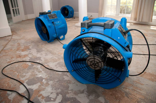, SD Water damage restoration Company