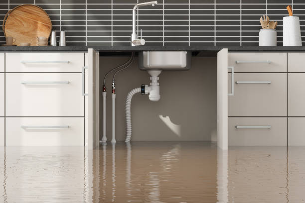 Best Water damage restoration near me  in Redfield, SD