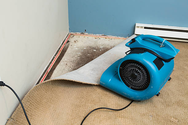 Best Water damage contractors near me  in Redfield, SD